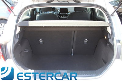 Ford Fiesta 1.5 TDCi 5 porte Plus (20)