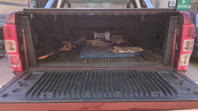 Ford Ranger Pick-up Ranger 2.0 ECOBLUE XL 2p.ti Cassonato Ribalt. Tril.acciaio (17)