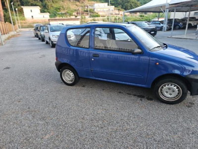 Fiat Seicento 900i cat Young (4)