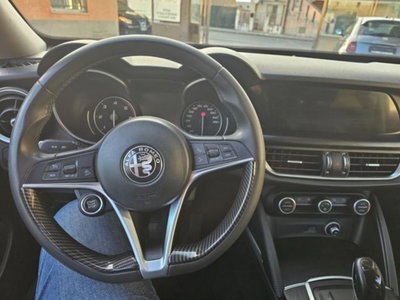 Alfa Romeo Stelvio Stelvio 2.2 Turbodiesel 180 CV AT8 Q4 Business (18)