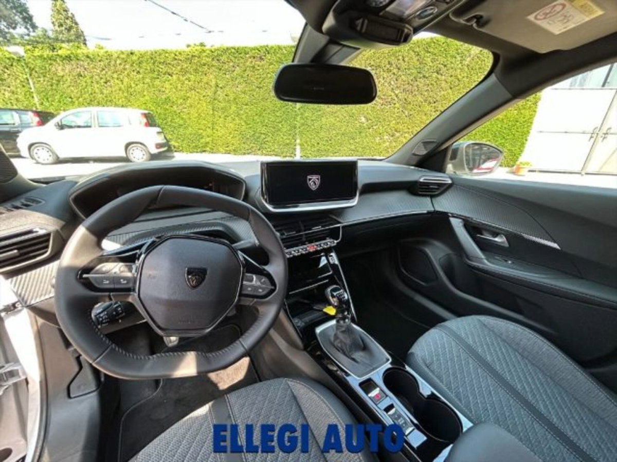 Peugeot 2008 PureTech 100 S&S Allure (15)