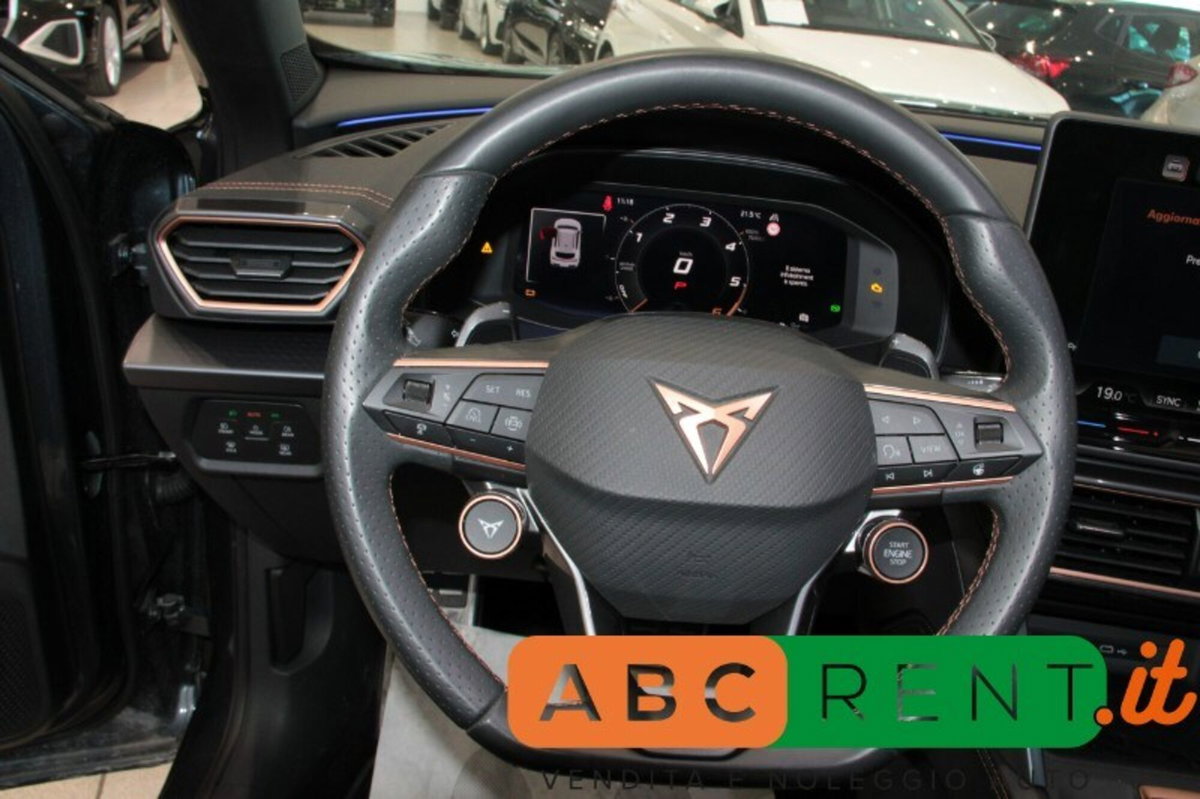 Cupra Formentor Formentor 2.0 TDI (11)