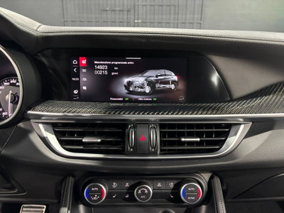 Alfa Romeo Stelvio Stelvio 2.9 Bi-Turbo V6 510 CV AT8 Quadrifoglio (11)
