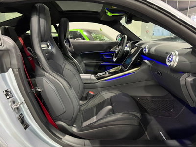 Mercedes-Benz AMG GT GT 63 Premium Plus APXGP Edition 4matic+ auto (15)