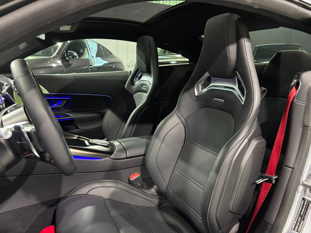 Mercedes-Benz AMG GT GT 63 Premium Plus APXGP Edition 4matic+ auto (9)