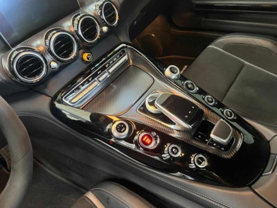 Mercedes-Benz AMG GT R GT R (11)