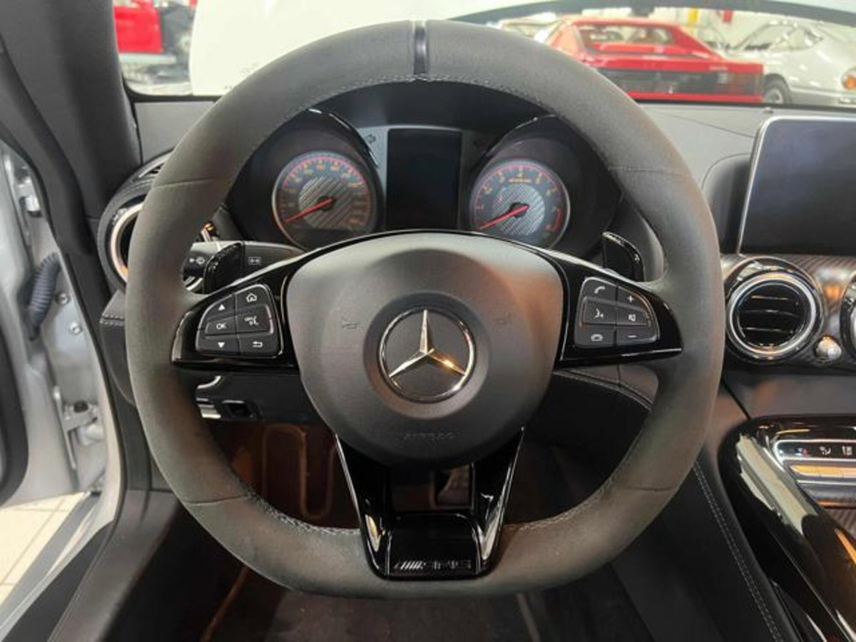 Mercedes-Benz AMG GT R GT R (12)