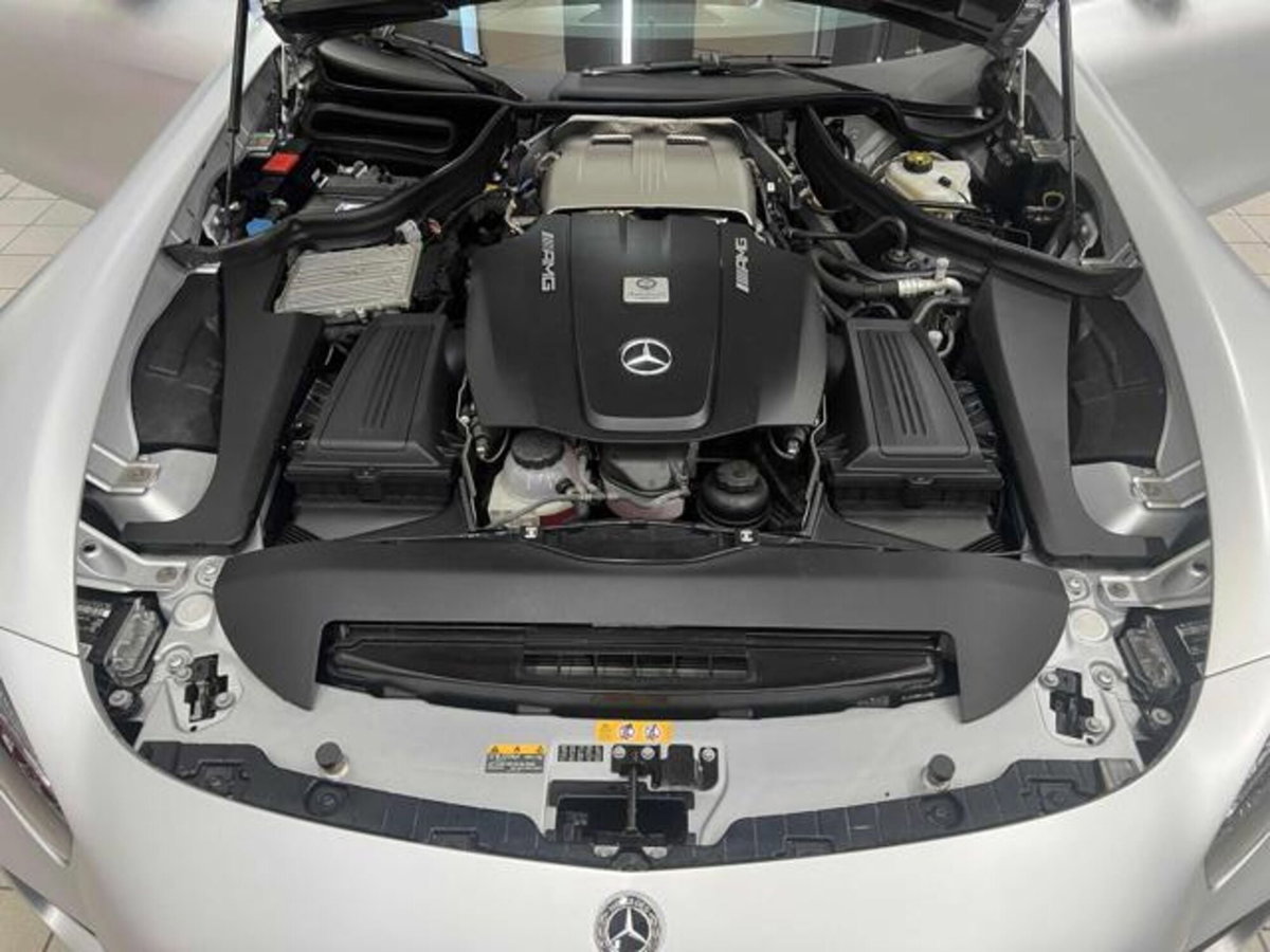 Mercedes-Benz AMG GT R GT R (13)