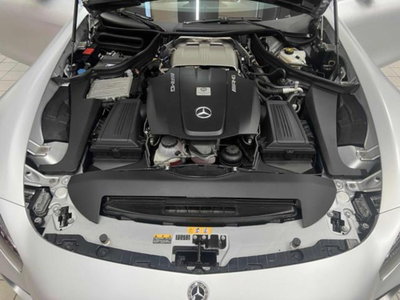Mercedes-Benz AMG GT R GT R (13)