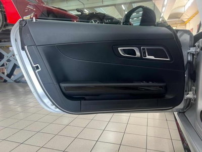 Mercedes-Benz AMG GT R GT R (14)