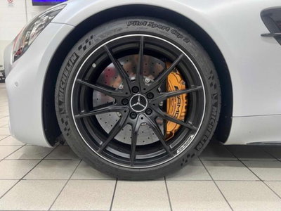 Mercedes-Benz AMG GT R GT R (5)