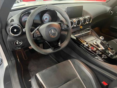 Mercedes-Benz AMG GT R GT R (7)