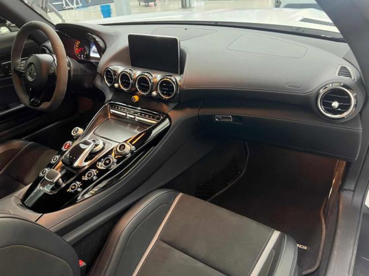 Mercedes-Benz AMG GT R GT R (9)