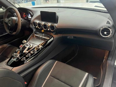 Mercedes-Benz AMG GT R GT R (9)