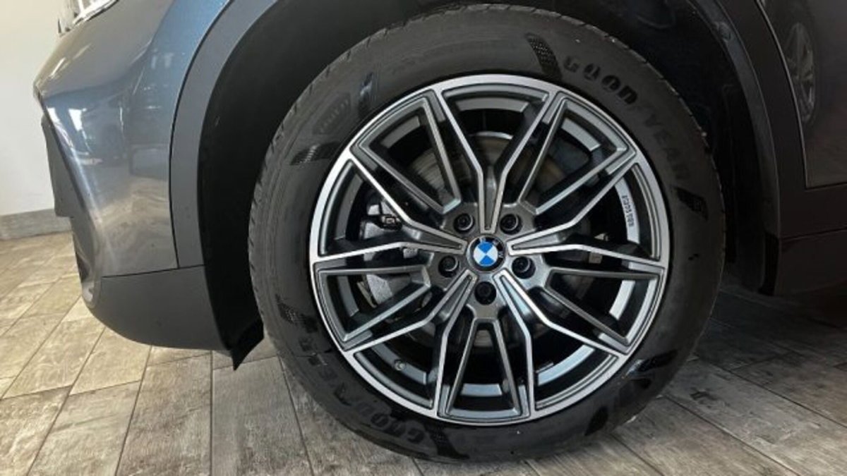 BMW X1 xDrive20d Business Advantage (3)
