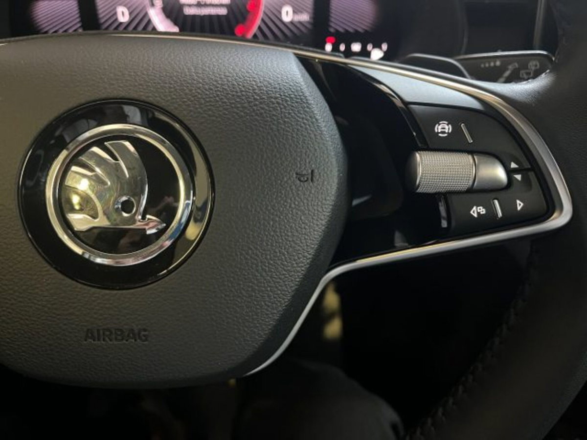 Skoda Kamiq 1.5 tsi Black Dots 150cv dsg (10)