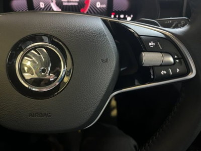 Skoda Kamiq 1.5 tsi Black Dots 150cv dsg (10)