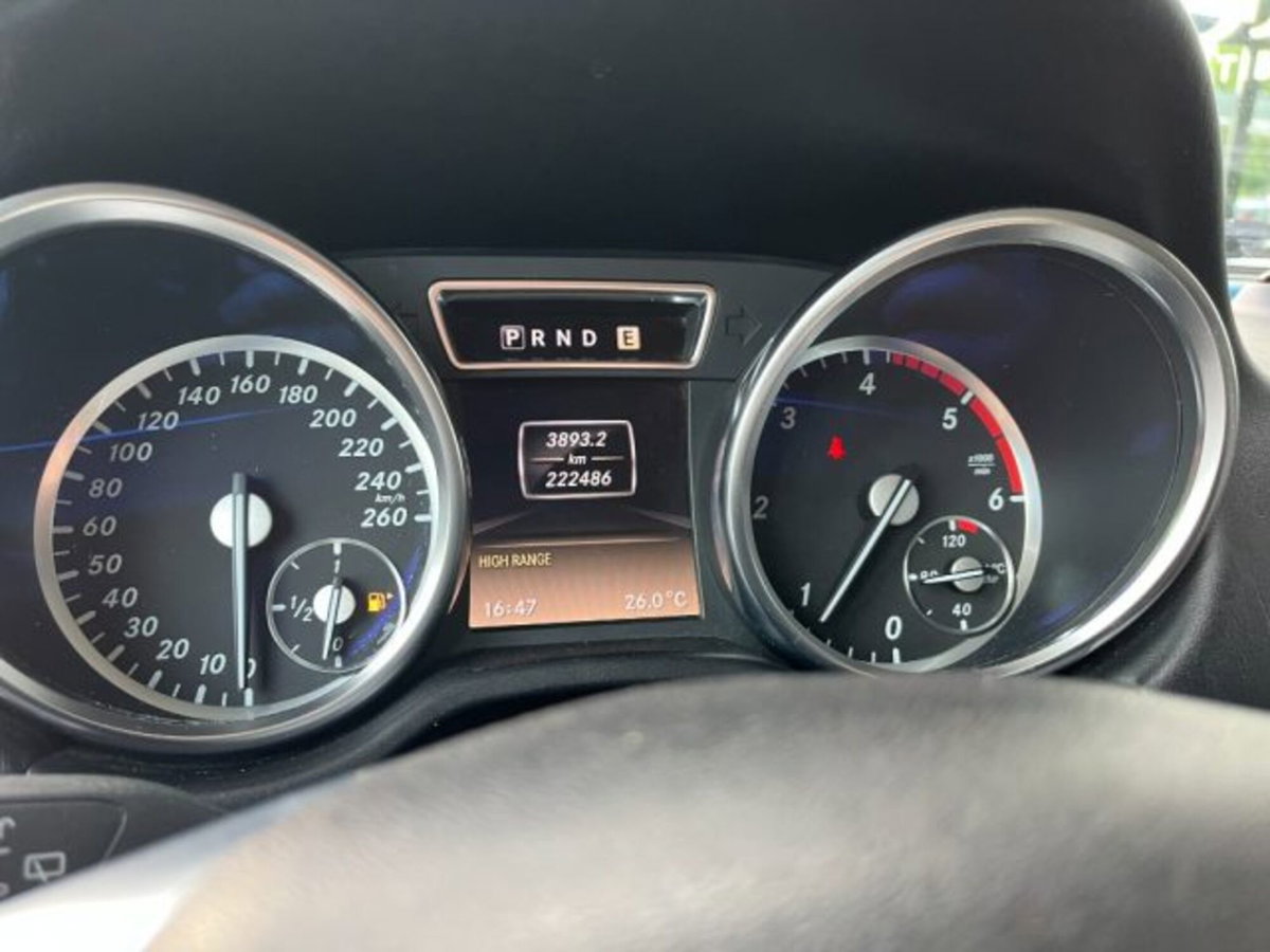 Mercedes-Benz Classe G 350 BlueTEC Lunga (13)