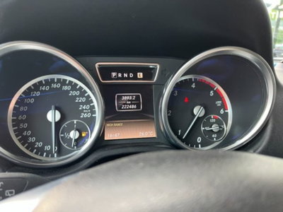 Mercedes-Benz Classe G 350 BlueTEC Lunga (13)