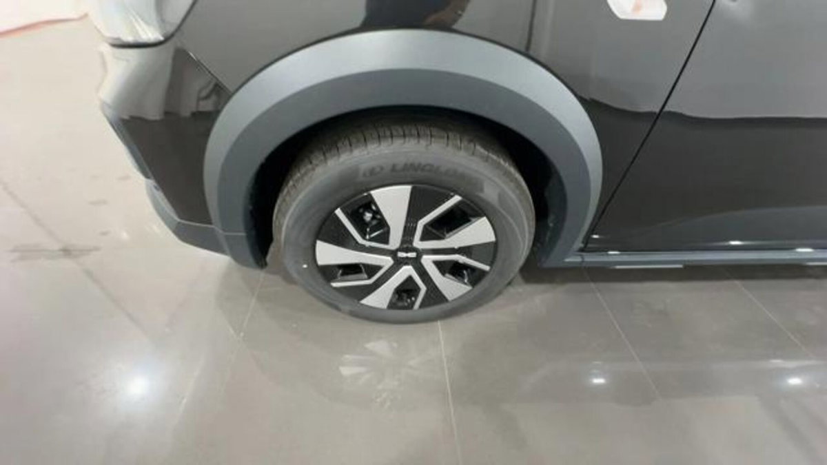 Dacia Sandero Stepway 1.2 Eco-G Expression 120cv auto (9)
