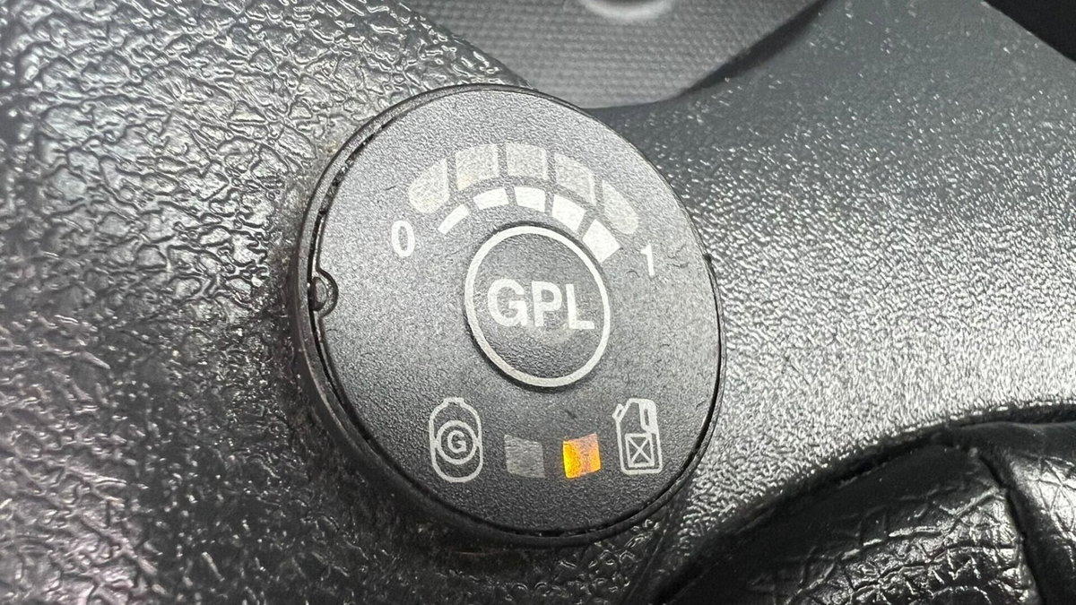 Dacia Sandero Stepway 0.9 TCe 12V TurboGPL 90CV Start&Stop (15)