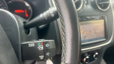Dacia Sandero Stepway 0.9 TCe 12V TurboGPL 90CV Start&Stop (16)