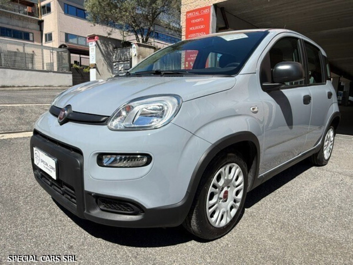Fiat Panda Cross Cross 1.0 FireFly S&S Hybrid (3)