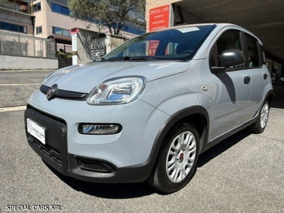 Fiat Panda Cross Cross 1.0 FireFly S&S Hybrid (3)