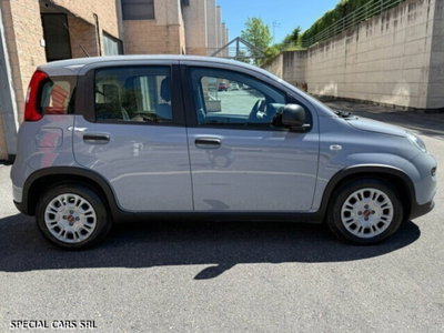 Fiat Panda Cross Cross 1.0 FireFly S&S Hybrid (4)