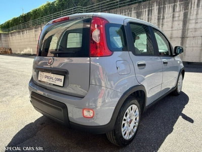 Fiat Panda Cross Cross 1.0 FireFly S&S Hybrid (6)