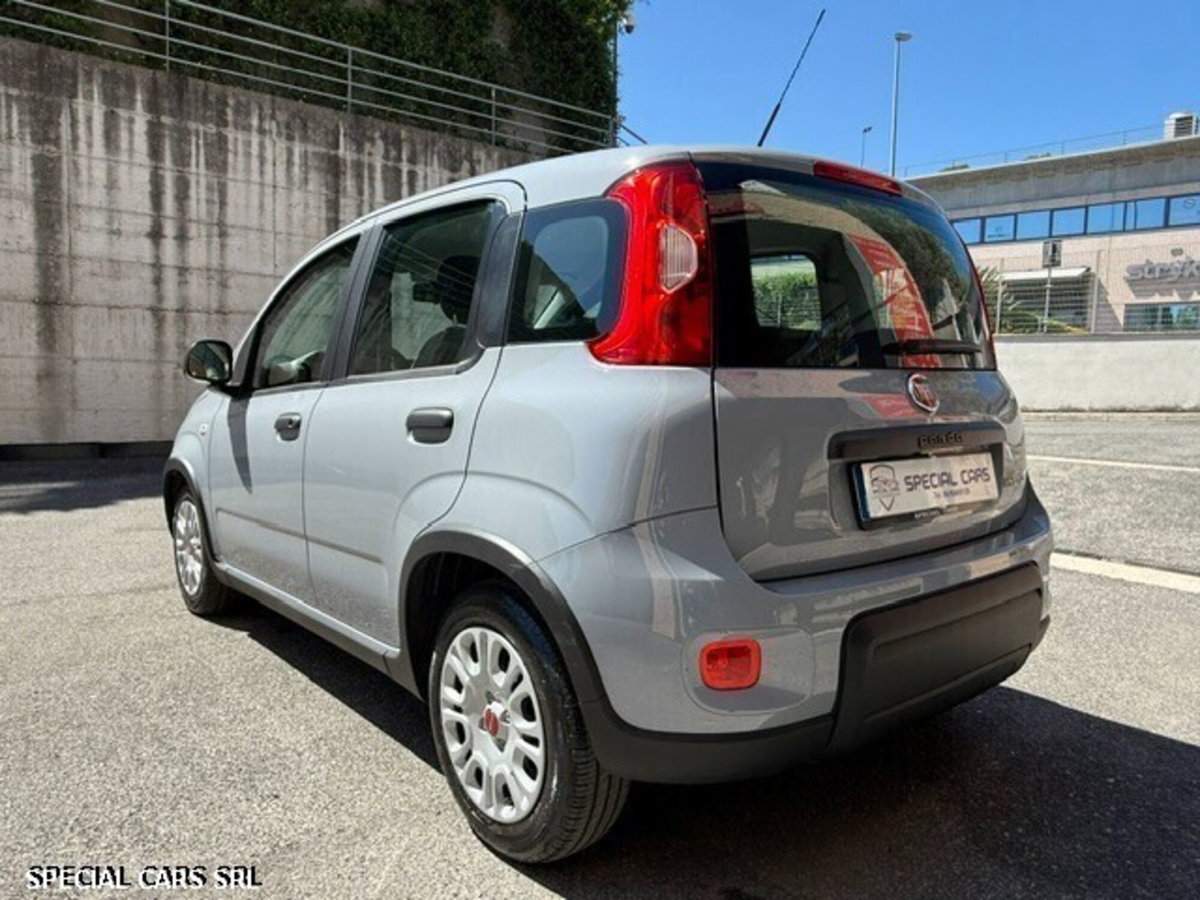 Fiat Panda Cross Cross 1.0 FireFly S&S Hybrid (7)