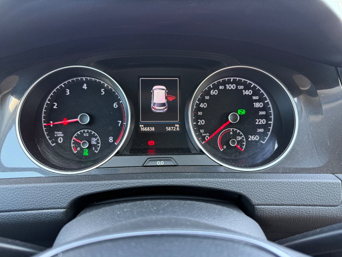 Volkswagen Golf 1.5 TGI DSG 5p. Business BlueMotion Technology (13)