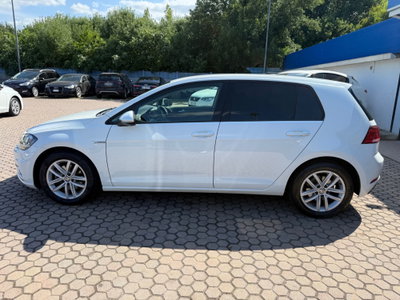 Volkswagen Golf 1.5 TGI DSG 5p. Business BlueMotion Technology (4)