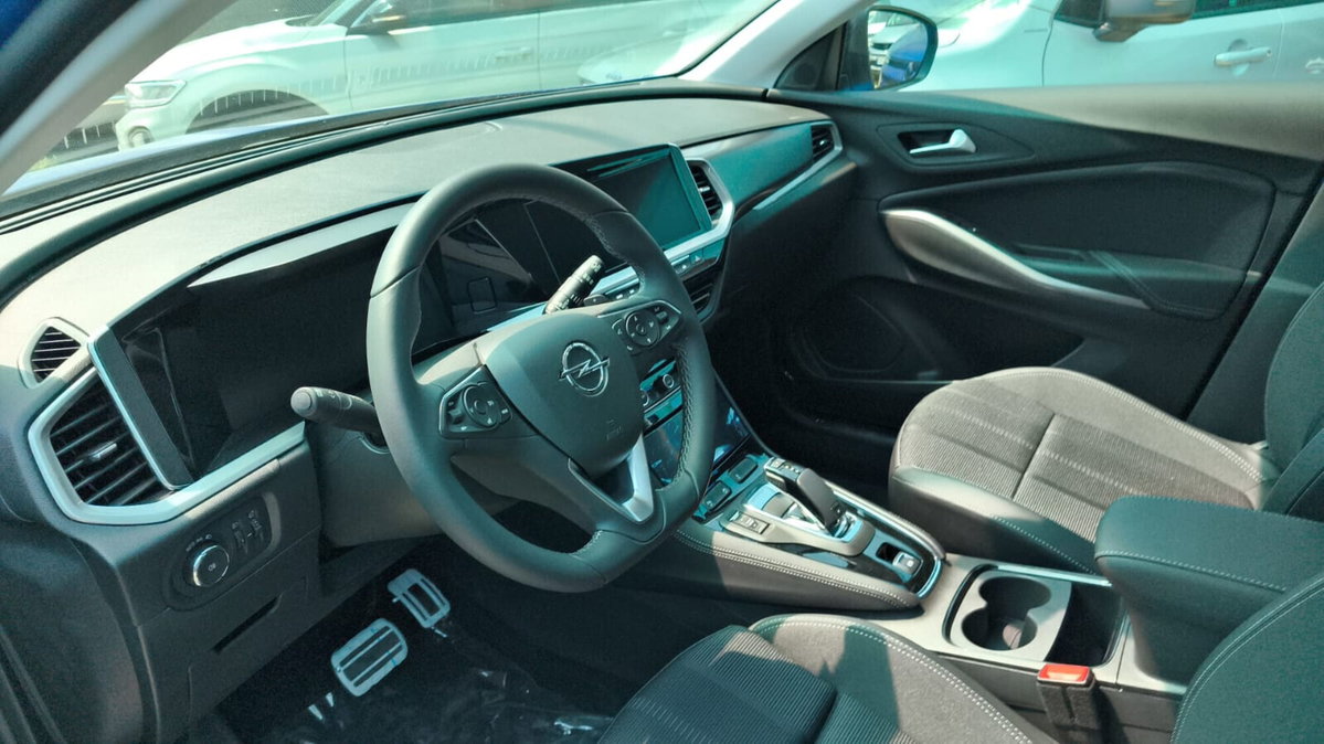 Opel Grandland 1.5 diesel Ecotec aut. Business Elegance (6)