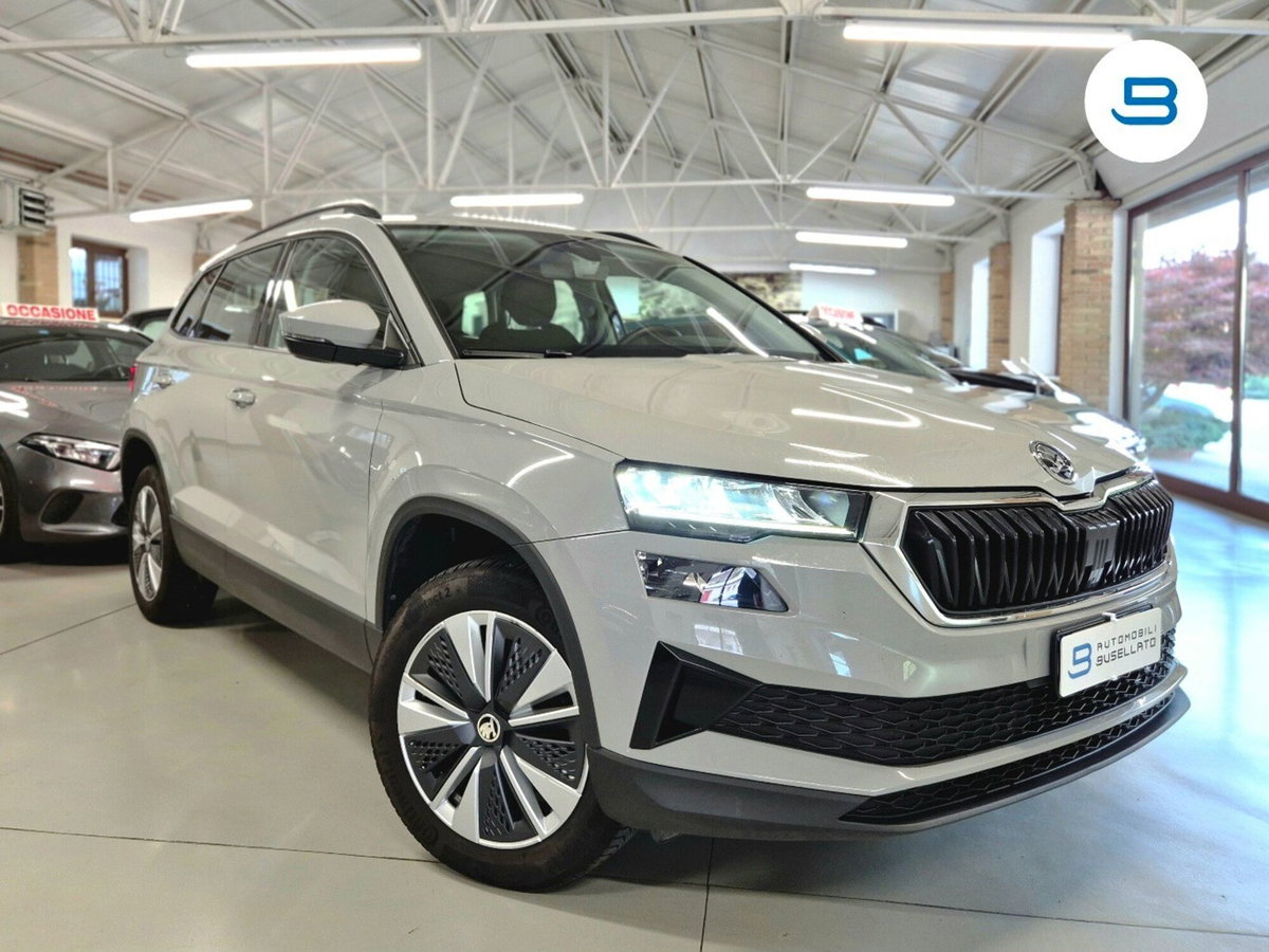 Skoda Karoq 2.0 TDI EVO SCR 115 CV DSG Executive (17)