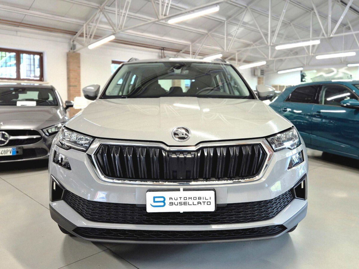 Skoda Karoq 2.0 TDI EVO SCR 115 CV DSG Executive (2)