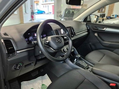 Skoda Karoq 2.0 TDI EVO SCR 115 CV DSG Executive (5)