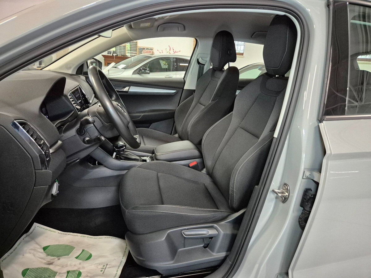 Skoda Karoq 2.0 TDI EVO SCR 115 CV DSG Executive (6)