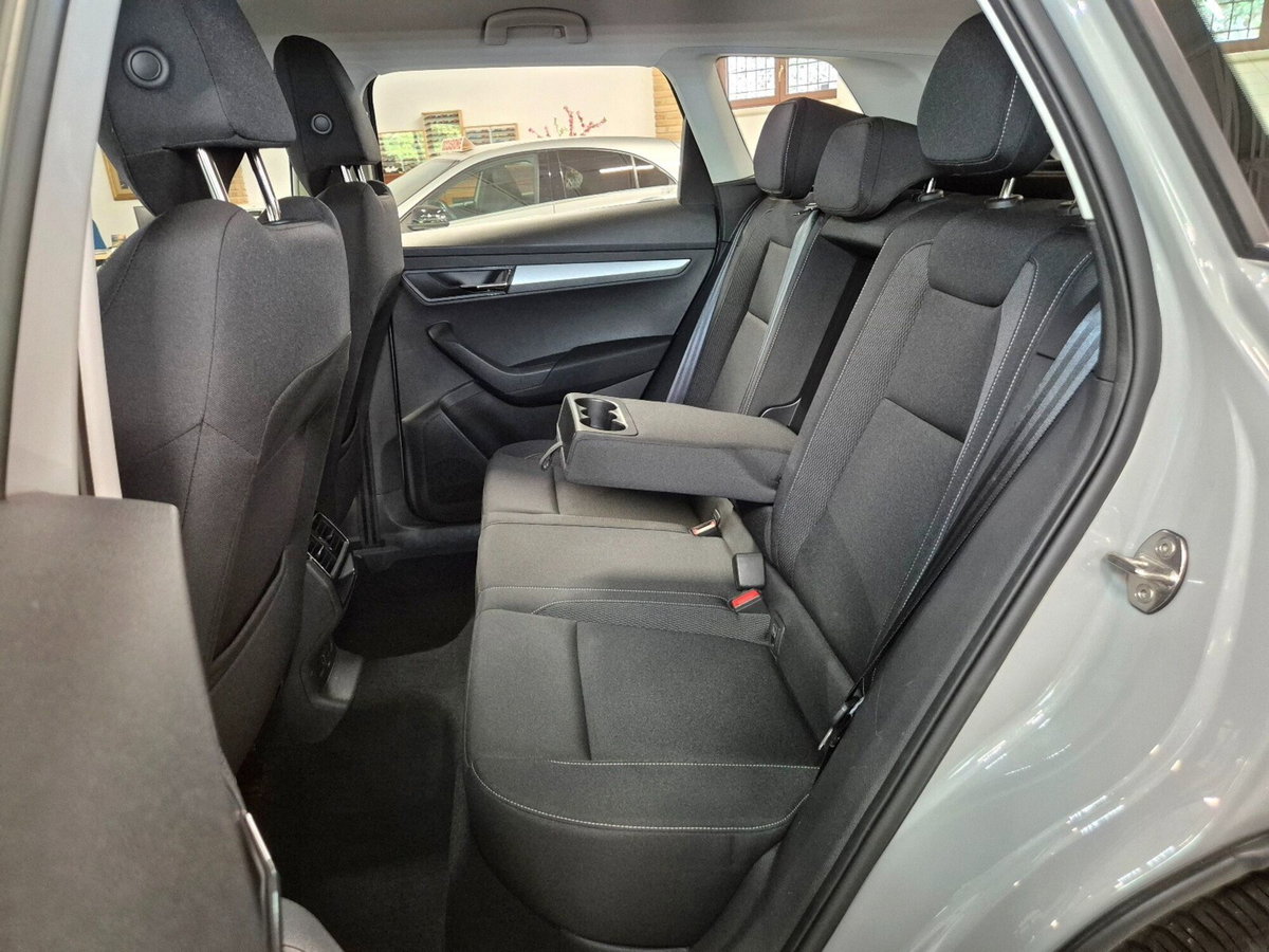 Skoda Karoq 2.0 TDI EVO SCR 115 CV DSG Executive (9)