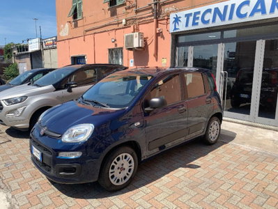 Fiat Panda 1.2 Lounge usata