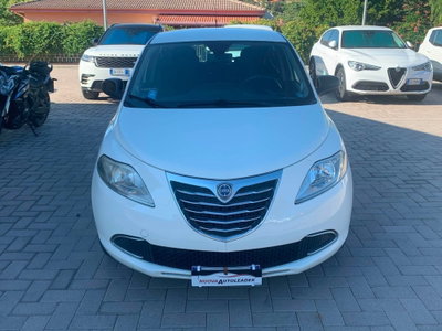 Lancia Ypsilon 1.3 MJT 16V 95 CV 5 porte S&S Gold (3)