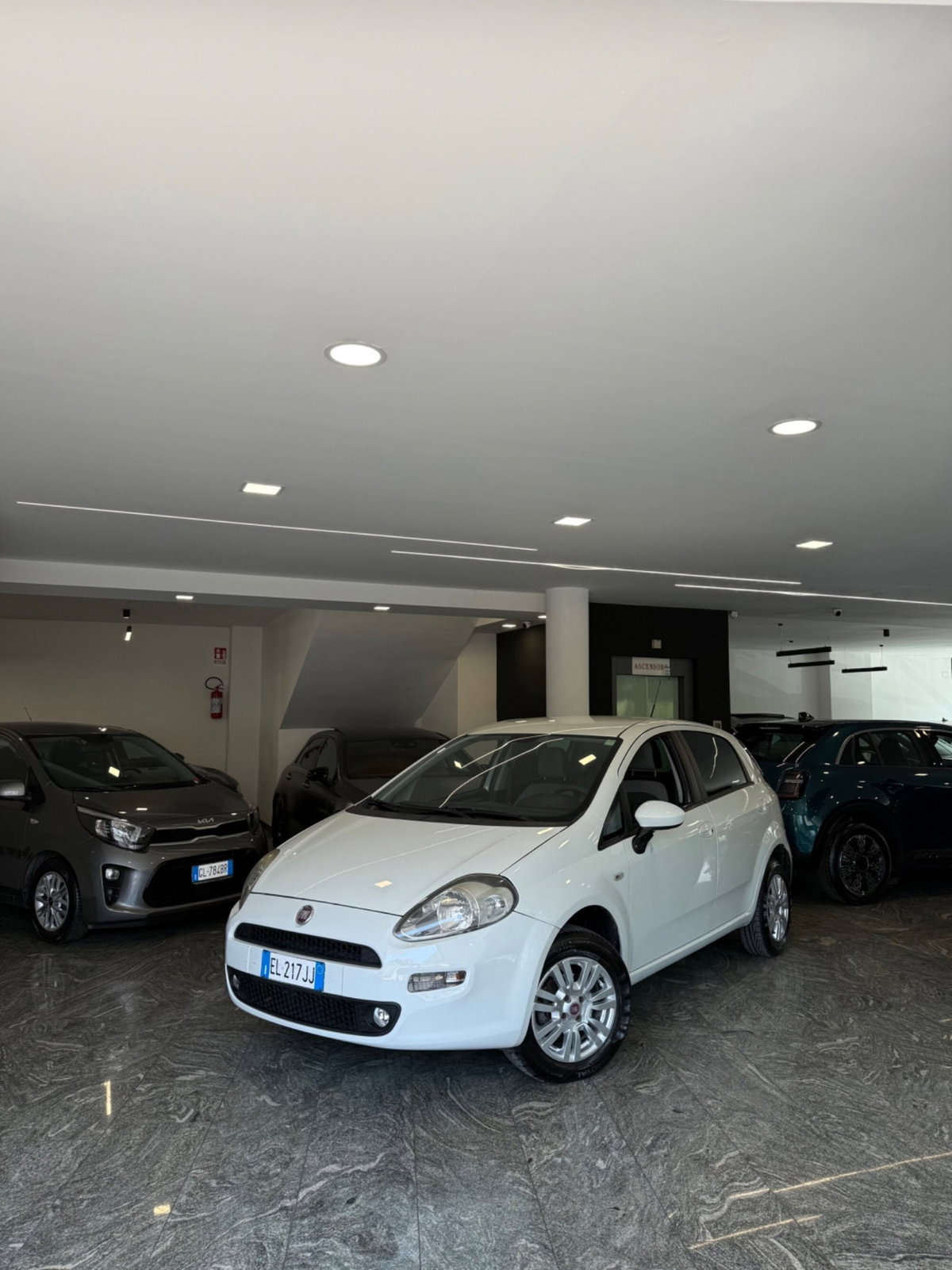 Fiat Punto 1.4 8V 5 porte Natural Power Pop
