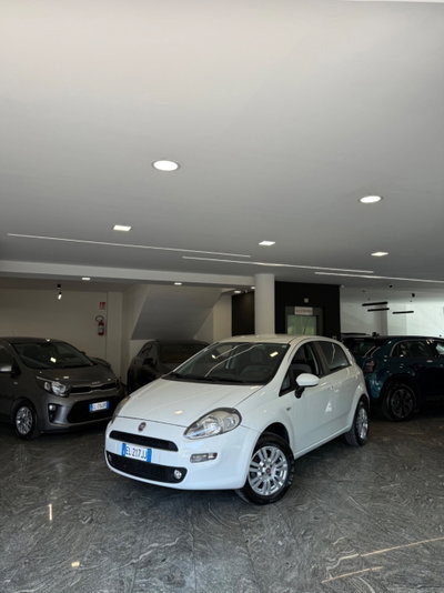 Fiat Punto 1.4 8V 5 porte Natural Power Pop usata