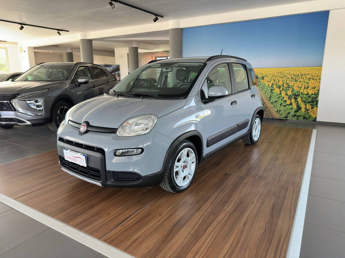 Fiat Panda 1.0 FireFly S&S Hybrid City Life (3)