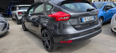 Ford Focus 1.5 TDCi 95 CV Start&Stop Plus (16)