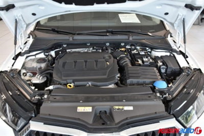 Skoda Octavia Station Wagon 2.0 TDI EVO SCR 150 CV DSG 4x4 Wagon Scout (17)