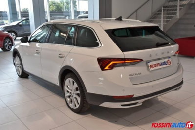 Skoda Octavia Station Wagon 2.0 TDI EVO SCR 150 CV DSG 4x4 Wagon Scout (3)