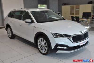 Skoda Octavia Station Wagon 2.0 TDI EVO SCR 150 CV DSG 4x4 Wagon Scout (7)
