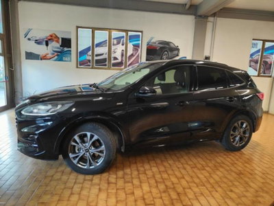 Ford Kuga 2.5 full hybrid ST-Line X 4wd 183cv auto (5)