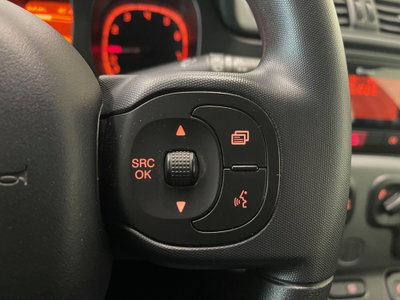 Fiat Panda Cross Cross 1.0 FireFly S&S Hybrid (17)